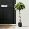 Dunelm Artificial 100cm Bay Tree