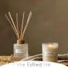 The Edited Life Wellness 200ml Oil Camomille Reed Diffuser
