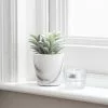 Dunelm Artificial Succulent In Marble Pot