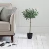 Dunelm Artificial Olive Tree Green 70cm