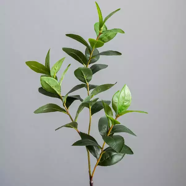 Dunelm Lemon Leaf In Concrete Pot 59cm 2 Dunelm Lemon Leaf In Concrete Pot 59cm - Image 2