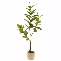 Dunelm Lemon Leaf In Concrete Pot 59cm 9 Dunelm Lemon Leaf In Concrete Pot 59cm -clocks Sales Store 30724505 alt04