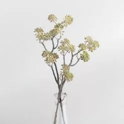 Dunelm Autumn Elderberry In Glass Vase 42cm -clocks Sales Store 30724506 alt02