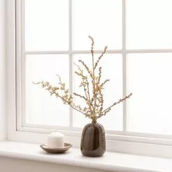 Dunelm Natural Seed Spray In Ceramic Pot