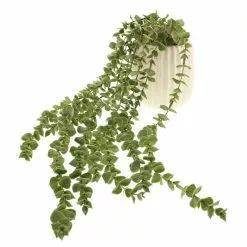 Dunelm Trailing Eucalyptus In Textured Pot -clocks Sales Store 30724513 alt05