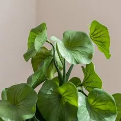 Dunelm Lotus In Ceramic Pot -clocks Sales Store 30724516 alt02