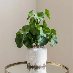 Dunelm Lotus In Ceramic Pot -clocks Sales Store 30724516 alt03