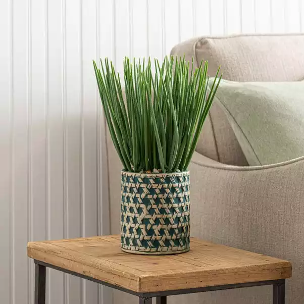 Dunelm Sword Grass In Ceramic Pot 38cm 1 Dunelm Sword Grass In Ceramic Pot 38cm