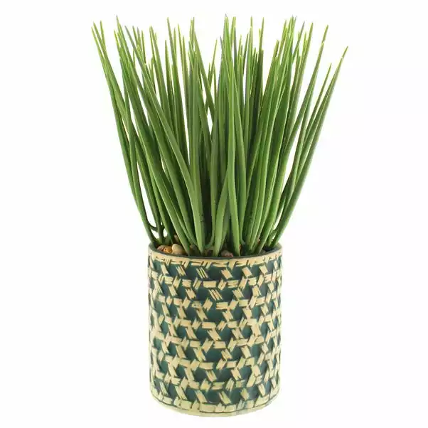 Dunelm Sword Grass In Ceramic Pot 38cm 3 Dunelm Sword Grass In Ceramic Pot 38cm - Image 3