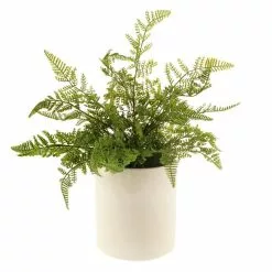 Dunelm Fern In Ceramic Pot 45cm -clocks Sales Store 30724522 alt03