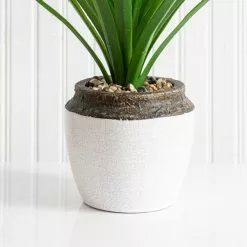 Dunelm Dracaena In Ceramic Pot 42cm -clocks Sales Store 30724523 alt02