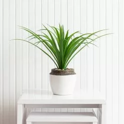 Dunelm Dracaena In Ceramic Pot 42cm -clocks Sales Store 30724523 alt03