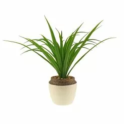 Dunelm Dracaena In Ceramic Pot 42cm -clocks Sales Store 30724523 alt04