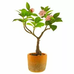 Dunelm Camellia Tree In Terracotta Planter 40cm -clocks Sales Store 30724532 alt04