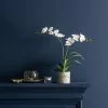 Dunelm Cream Orchid In Cement Pot