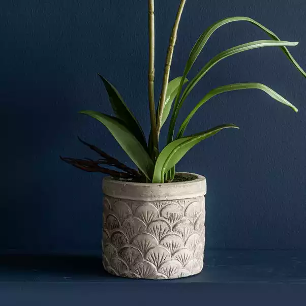 Dunelm Cream Orchid In Cement Pot 2 Dunelm Cream Orchid In Cement Pot - Image 2