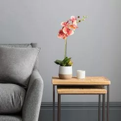 Dunelm Pink Orchid In Ceramic Pot 50cm