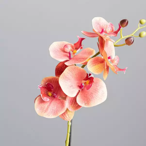 Dunelm Pink Orchid In Ceramic Pot 50cm 2 Dunelm Pink Orchid In Ceramic Pot 50cm - Image 2