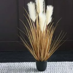 Dunelm Pampas In Pot Cream 30cm