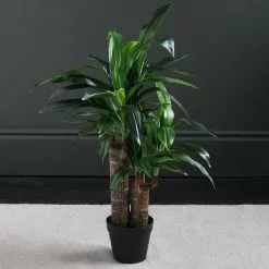 Dunelm Artificial Double Stem Yucca