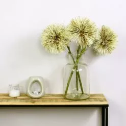 Dunelm Cream Hakea Spray 3 Pack