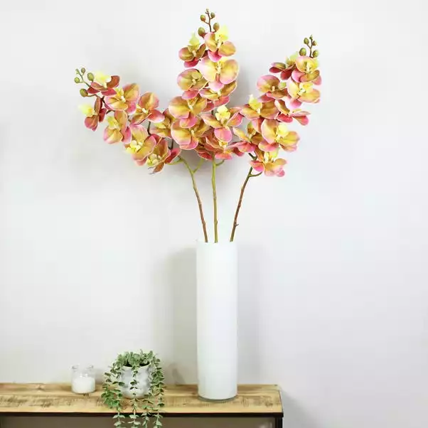 Dunelm Peach Real Touch Phalaenopsis 3 Pack 1 Dunelm Peach Real Touch Phalaenopsis 3 Pack