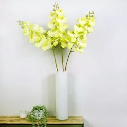 Dunelm Green Real Touch Phalaenopsis 3 Pack
