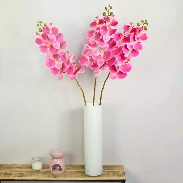 Dunelm Fuchsia Real Touch Phalaenopsis 3 Pack 1 Dunelm Fuchsia Real Touch Phalaenopsis 3 Pack