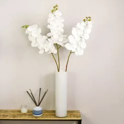 Dunelm Cream Real Touch Phalaenopsis 3 Pack