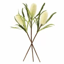 Dunelm Cream Ashby's Banksia Stem 3 Pack