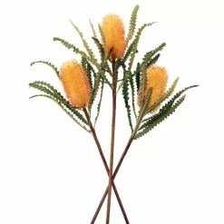 Dunelm Orange Ashby's Banksia Stems 3 Pack