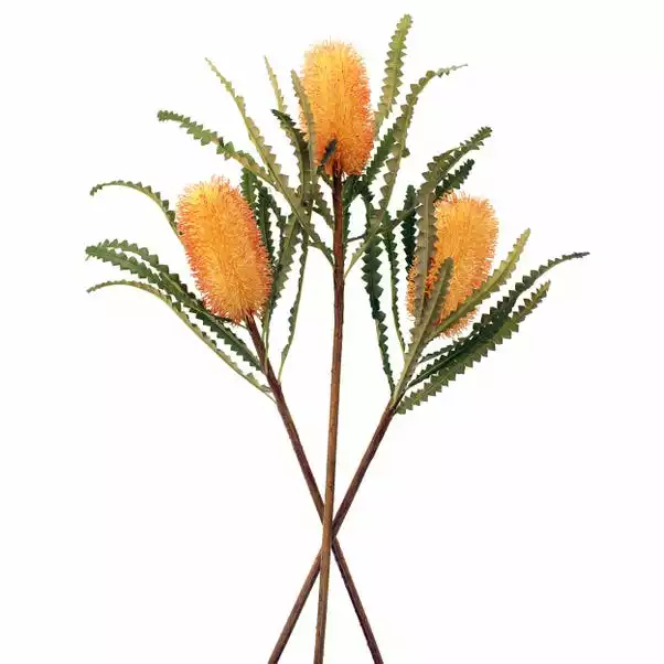 Dunelm Orange Ashby's Banksia Stems 3 Pack 1 Dunelm Orange Ashby's Banksia Stems 3 Pack