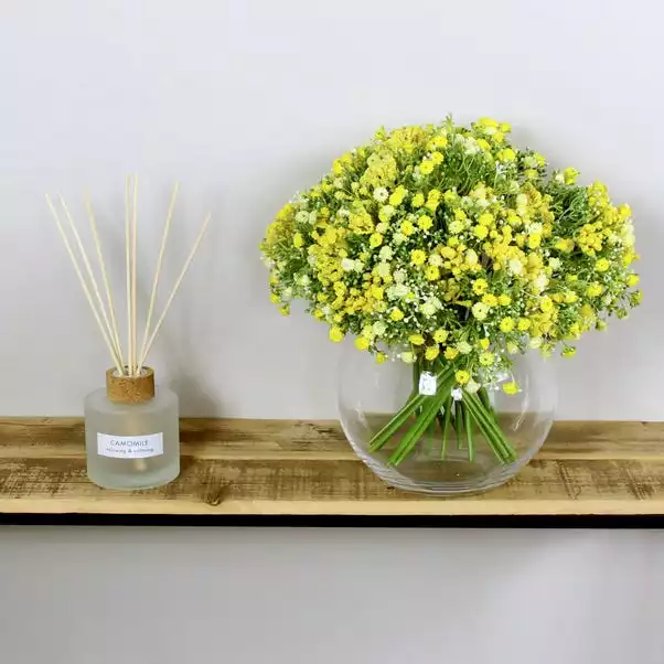 Dunelm Bundle Of 6 Gypsophila Yellow 28cm 1 Dunelm Bundle Of 6 Gypsophila Yellow 28cm