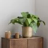 Dunelm Tropical Leaf In Bamboo Basket