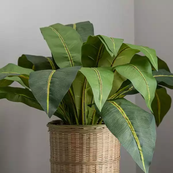 Dunelm Tropical Leaf In Bamboo Basket 2 Dunelm Tropical Leaf In Bamboo Basket - Image 2