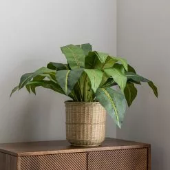 Dunelm Tropical Leaf In Bamboo Basket 8 Dunelm Tropical Leaf In Bamboo Basket -clocks Sales Store 30726491 alt03