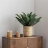 Dunelm Agave In Bamboo Basket