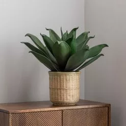 Dunelm Agave In Bamboo Basket -clocks Sales Store 30726492 alt03