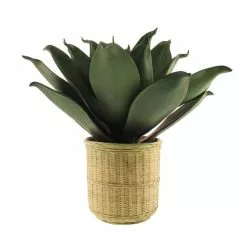 Dunelm Agave In Bamboo Basket -clocks Sales Store 30726492 alt04