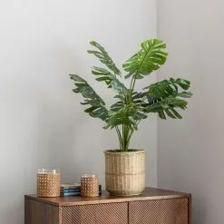 Dunelm Monstera In Bamboo Basket