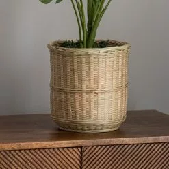Dunelm Monstera In Bamboo Basket 7 Dunelm Monstera In Bamboo Basket -clocks Sales Store 30726494 alt02