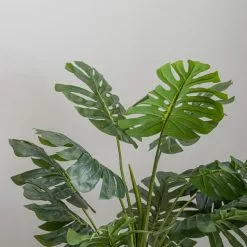 Dunelm Monstera In Bamboo Basket 8 Dunelm Monstera In Bamboo Basket -clocks Sales Store 30726494 alt03