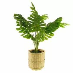 Dunelm Monstera In Bamboo Basket 9 Dunelm Monstera In Bamboo Basket -clocks Sales Store 30726494 alt04