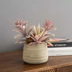 Dunelm Churchgate Artificial Flocked Succulent Garden