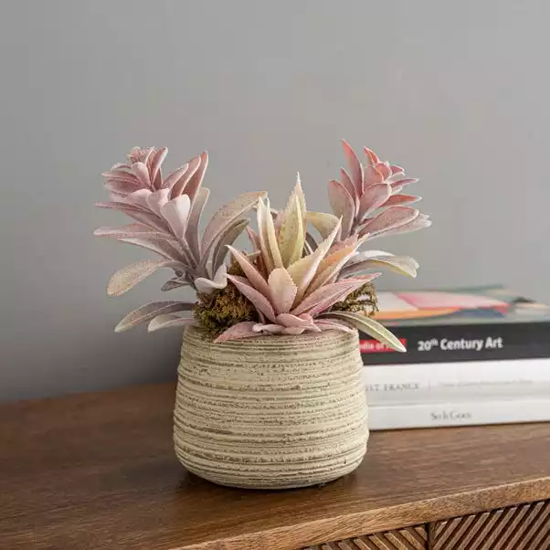 Dunelm Churchgate Artificial Flocked Succulent Garden 1 Dunelm Churchgate Artificial Flocked Succulent Garden