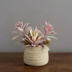 Dunelm Churchgate Artificial Flocked Succulent Garden 6 Dunelm Churchgate Artificial Flocked Succulent Garden -clocks Sales Store 30730202 alt02