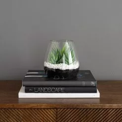 Dunelm Coastal Artificial Succulents In Glass Vase