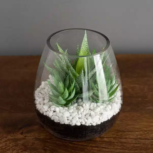 Dunelm Coastal Artificial Succulents In Glass Vase 2 Dunelm Coastal Artificial Succulents In Glass Vase - Image 2