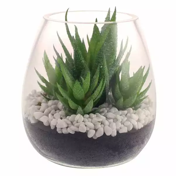Dunelm Coastal Artificial Succulents In Glass Vase 4 Dunelm Coastal Artificial Succulents In Glass Vase - Image 4