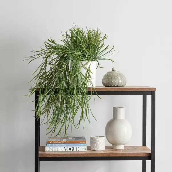 Dunelm Coastal Artificial Trailing Grass In White Ceramic Pot 1 Dunelm Coastal Artificial Trailing Grass In White Ceramic Pot